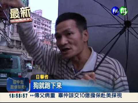 凶猛惡犬逃出籠 活活咬死8旬翁