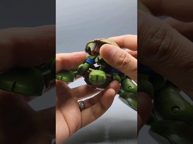 Vídeo relacionado con Buckle-Down Web Belt Ninja Turtles 3.2 cm, Classic Tmnt - Caras de 8 bits, color verde, 1.25" Wide - Fits up to 42" Pant Size