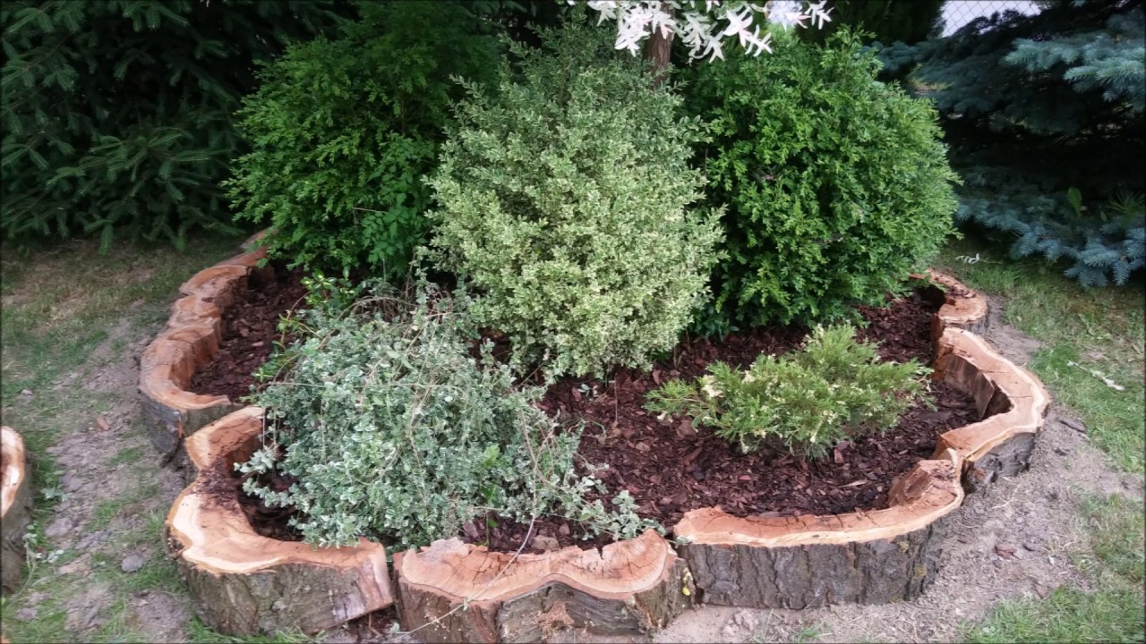 Jak wykorzystać pnie w ogrodzie