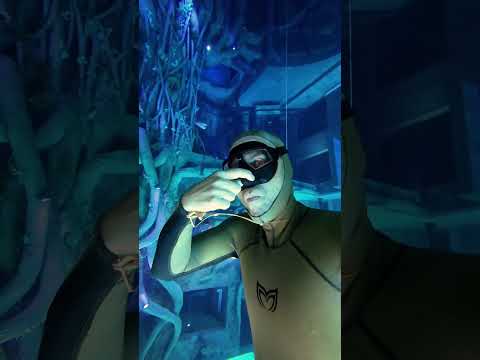 How to avoid ear pain when diving deep 🙉 #earpain #equalize #equalization #freediving #underwater