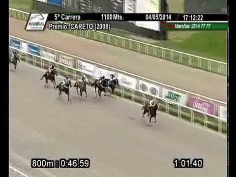 Maçanilha, do STUD DUPLO OURO, mostra sua força na pista de Maroñas