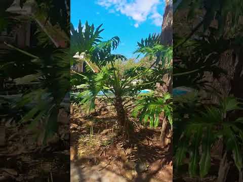 Capela Ecumênica - Hotel Villa Verde (Avaré, SP)