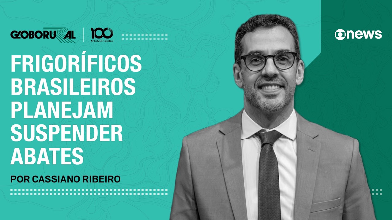 Frigoríficos brasileiros planejam suspender abates | Globo Rural