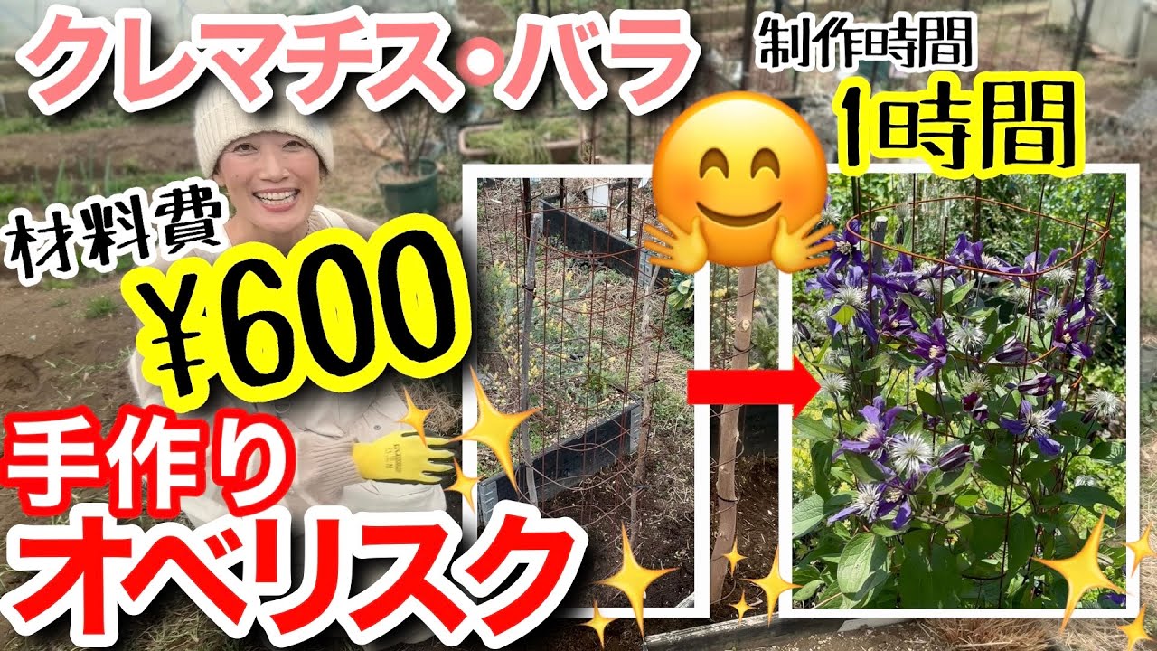 【クレマチス・バラ🌹】驚異の600円で神オベリスク完成🥹✨制作・設置時間はたったの1時間☝️/ 1年使った結果が想像以上だった/ 開花の様子を見たら必ず作りたくなる/ツル誘引も簡単‼️【ガーデニング】