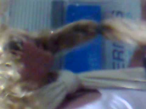 jzt gehts los!! [andysardu]