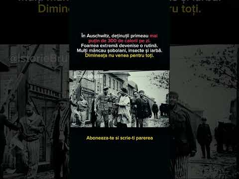 AUSCHWITZ: 300 de calorii pe zi #ww2 #history #oppenheimer