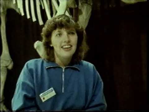 BBC 'TWO' - Open University - Summer School OU All Hours - 1986 - With Closedown