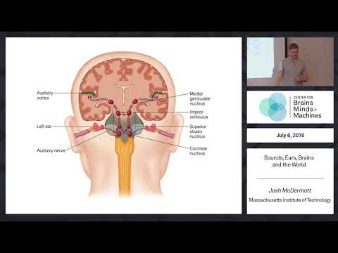 Sound, Ears, Brains and the World