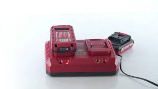 WORTEX Charger and Batteries Set (2329018)