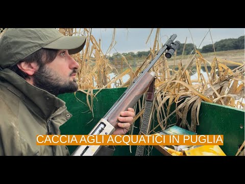 Associazione AB: Caccia agli acquatici: dicembre sulla laguna di Lesina con AB