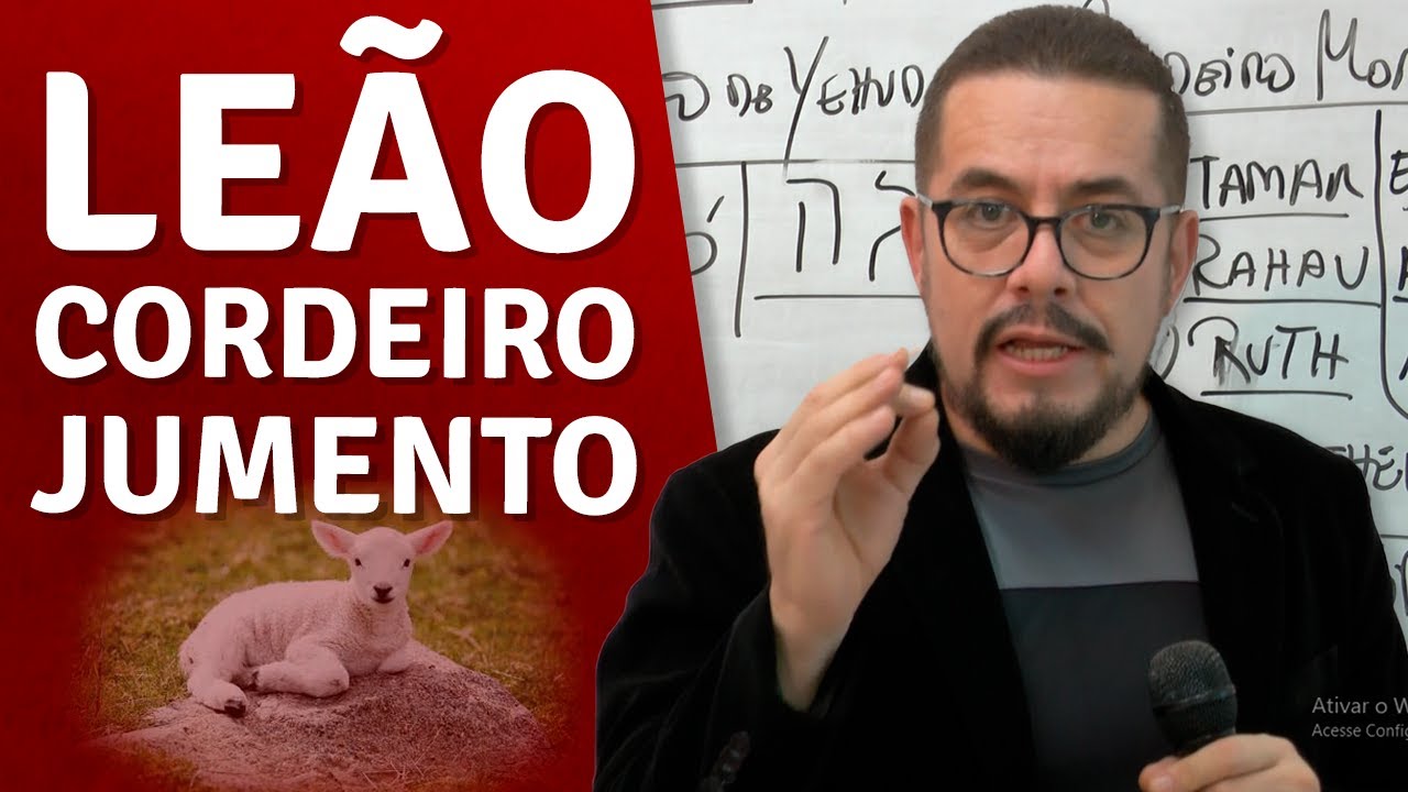 Leão da tribo de Judá - Cordeiro morto e o jumento amarrado à videira - Estudo Bíblico - Palavra