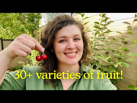 Welcome to my first home orchard tour! (Zone 7)