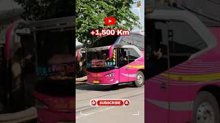 Download lagu Going Longer? There's a Bus from Jakarta to Bima, and Tickets Cost Nearly a Million Rupiah! mp3