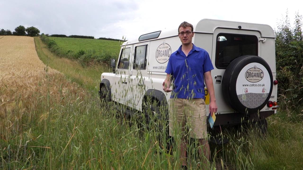 What is the Cambridge Sustainable Food Hub?