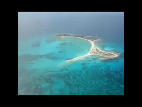 El Moñito azul - La sonora dinamita