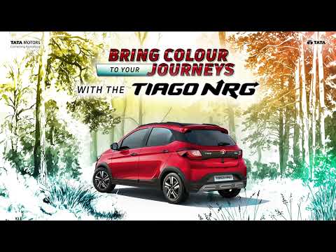 Tiago NRG | Doodle Series | Forest