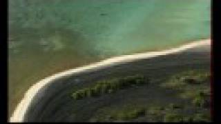 Seveso Music Video