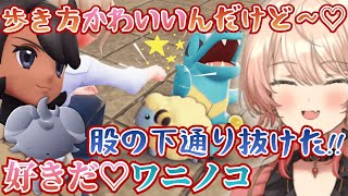 【ポケモンZA】思い出が強いワニノコのかわいいモーションに無限に愛おしさを醸し出すおニュイ【にじさんじ切り抜き/ニュイ・ソシエール】