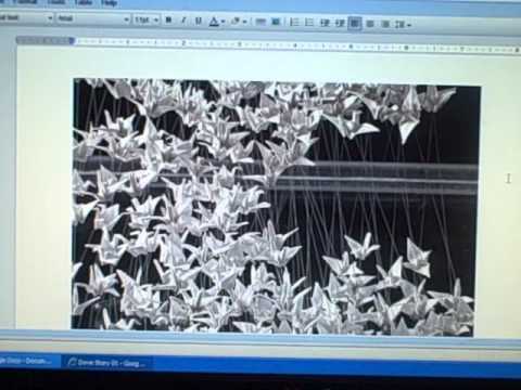 The Dove Story, The Musical 01