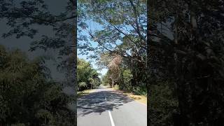 Download lagu Aaj unse Pehli/ Paraya dhan/Rakesh Roshan /Kishore Kumar/Hema Malini old song YRF film short video. mp3