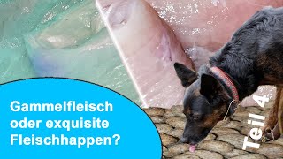 Ist das Hundefutter oder kann das Weg? Teil 4 - Zusammensetzung analys
