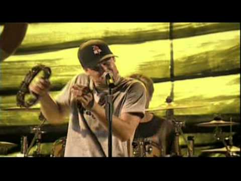 Divokej Bill 4/10 - Malování - Čmelák