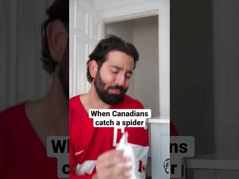I’m so sorry spider, I will tell tales of you eh? #comedy #funny #shorts #shortsvideo #canadian ￼