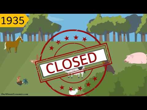 The Great Depression Explained in One Minute