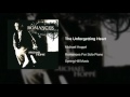 Michael Hoppé - The Unforgetting Heart