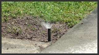 Broken sprinkler spray head repair