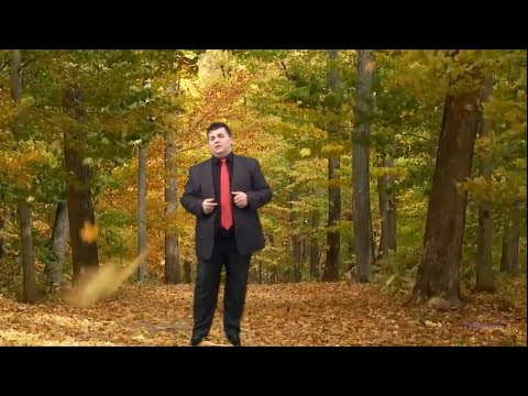 Mehdi Berisha  Vaji i Nanes