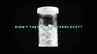 $UICIDEBOY$ - DIDN'T THEY GIVE YOU PERCOCET? (Lyric Video)