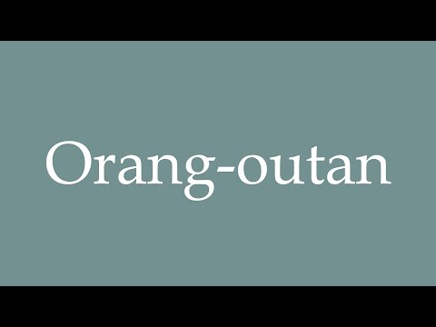 How to Pronounce ''Orang-outan'' (Orangutan) Correctly in French