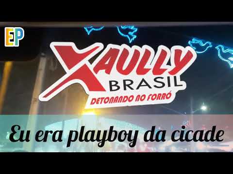 Eu era playboy da cidade-Xaully Brasil