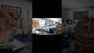 高校卒業してすぐのこと #猫ミーム