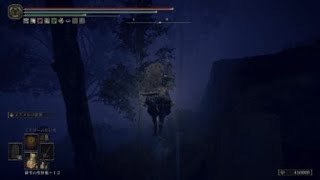 ELDEN RING_20240625211942