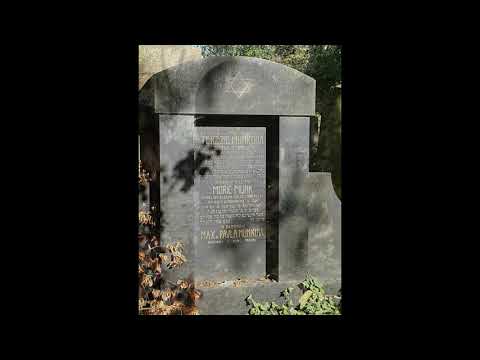 Nowy Cmentarz Żydowski, Praga (Czechy)