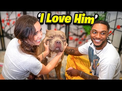 MAYA CAME OVER TO VISIT MY DOGS…