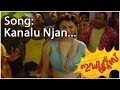 Kanale Njaan IDIOTS VIDEO SONG New Malayalam Movie Video Song Sanusha Asif Ali