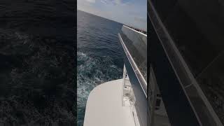 MSC World Europa poppa nave