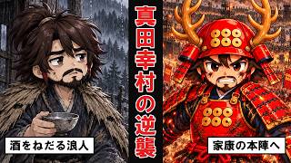 14年ニートだった男が、徳川家康を震え上がらせた話【真田幸村】