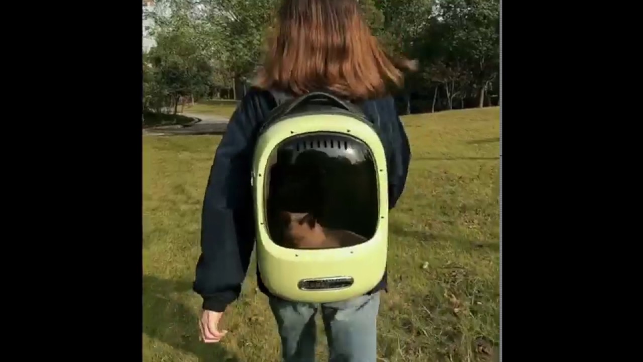 Переноска-рюкзак для животных PETKIT EVERTRAVEL Bag, белая