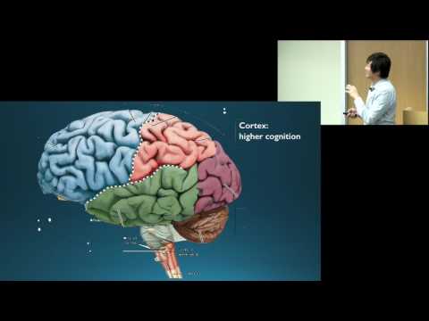 Dr. Octavio Choi presents Brain Basics: An Introduction to Cognitive Neuroscience