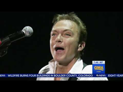 David Cassidy Falls Off Stage from Dementia or Being Drunk?