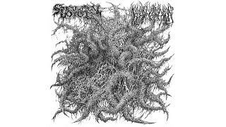 Spectral Voice - (Slowly) Claimed by Oblivion