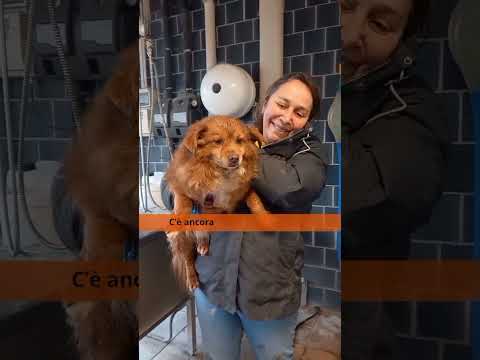 Video di AARON