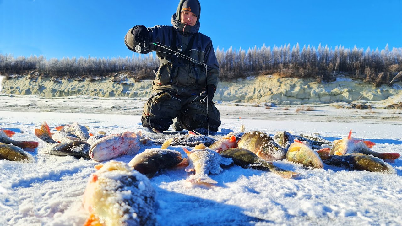 Рвутся лески! Гнутся багры! Первый лёд в Якутии! Зимняя рыбалка 2020-2021