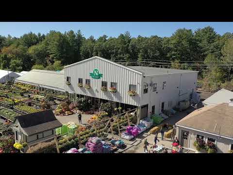 Nunan's, Cafe Sarina, Garden Golf