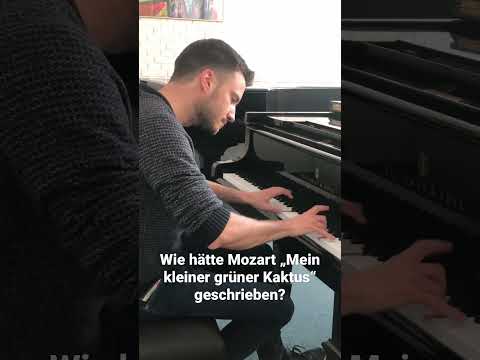 Mein kleiner grüner Kaktus - Mozart