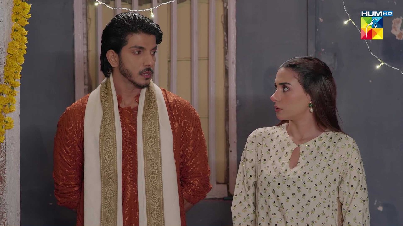 Afsos Ho Raha Hai Ke Tum Par Bharosa Kiya...? #alishbakhan #mohsinabbashaider - HUM TV